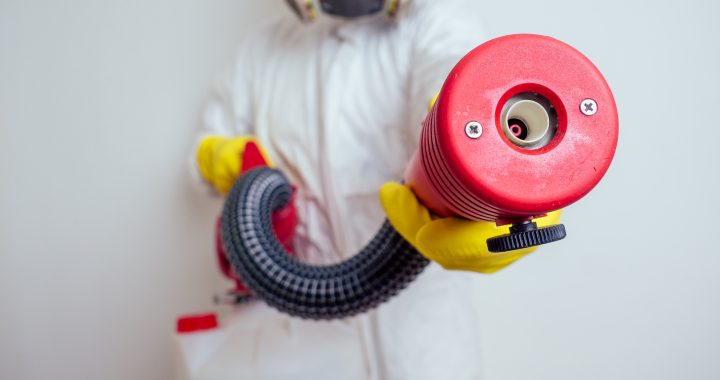 Tecniche naturali ed ecologiche per il controllo dei parassiti